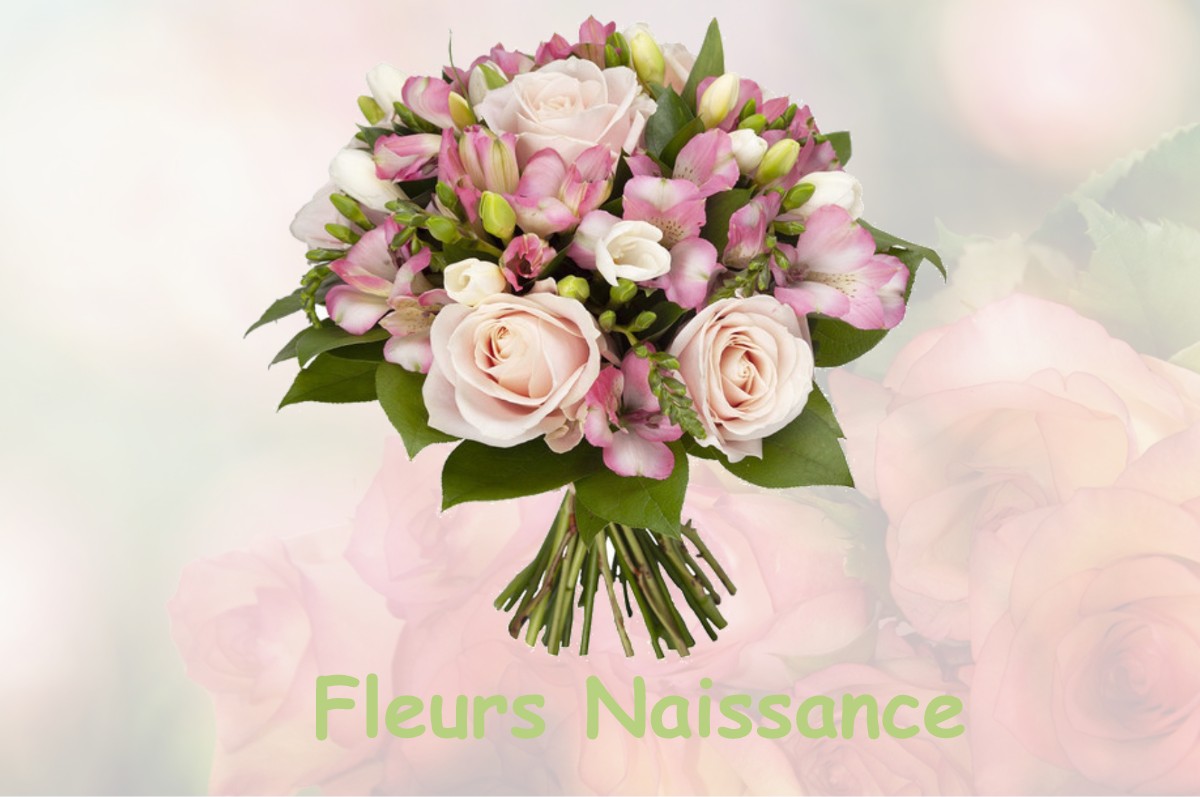 fleurs naissance LE-MARAIS-LA-CHAPELLE